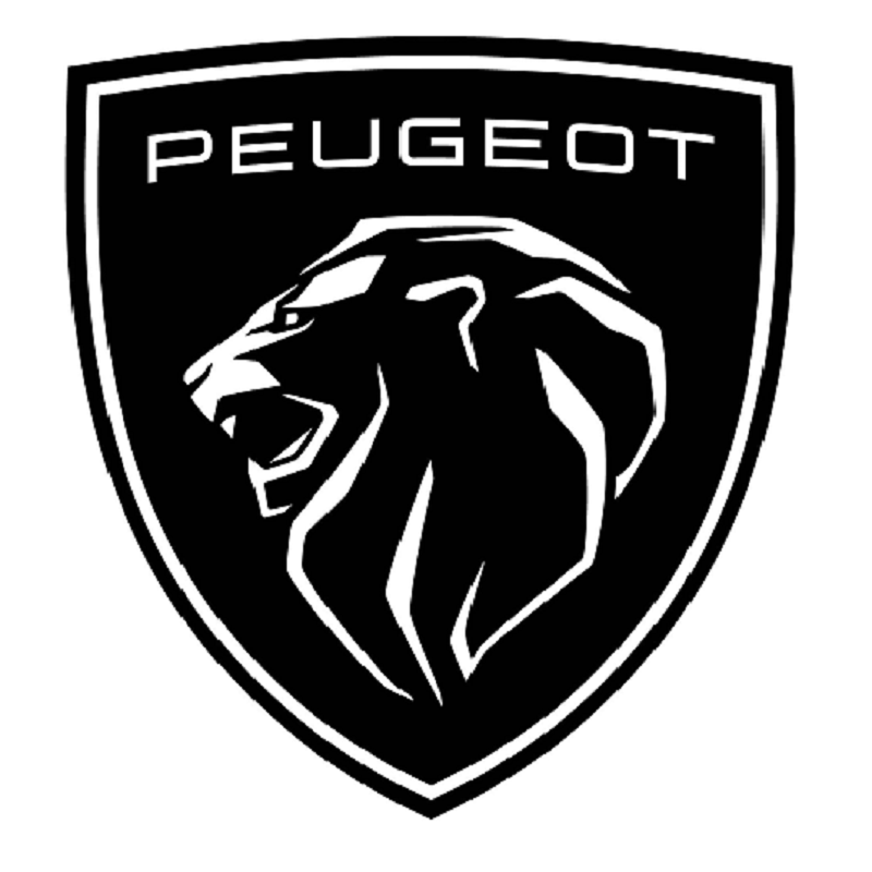 Peugeot Paint - Any Colour