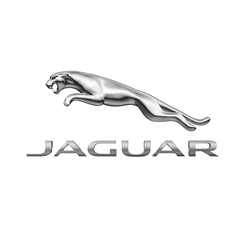 Jaguar Paint - Any Colour